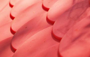 Lopwell plastic roof costs