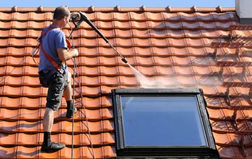 roof cleaning Lopwell, Devon