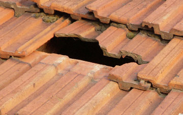 roof repair Lopwell, Devon